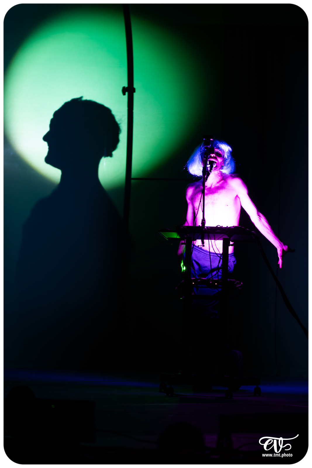 DYSTOPIA (UN POYO ROYO)